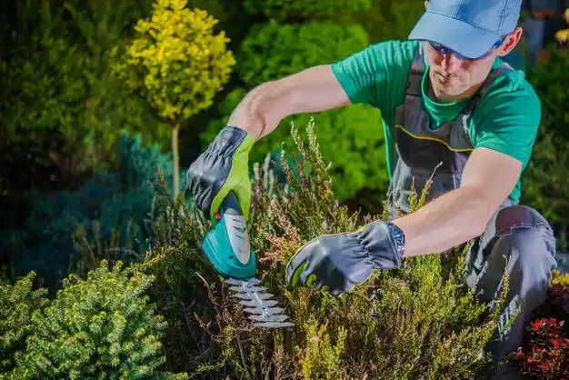 landscaping services Beach City